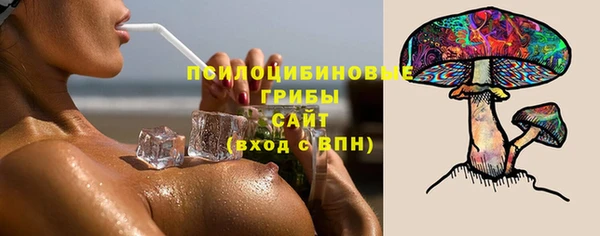 PSILOCYBIN Богданович