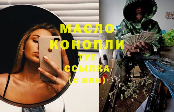 спиды Богородицк