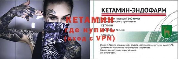 спиды Богородицк