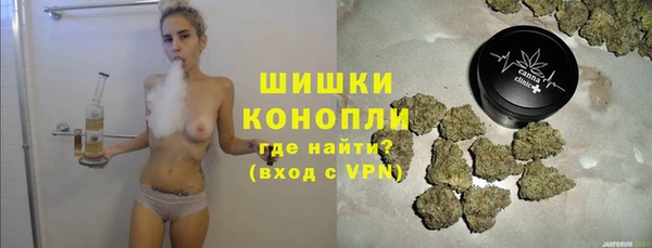 амф Богородск