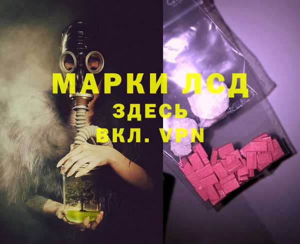 спиды Богородицк