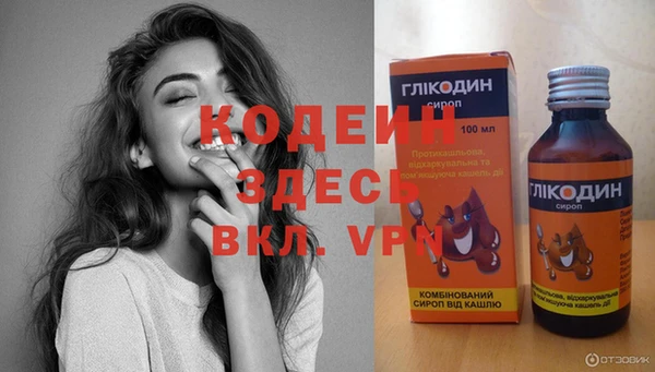спиды Богородицк