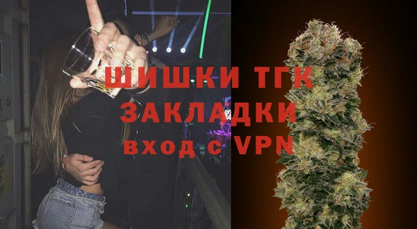 PSILOCYBIN Богданович