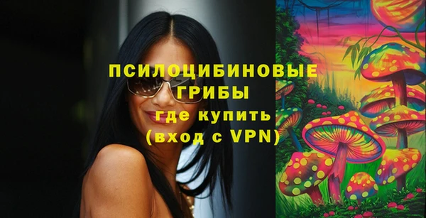 спиды Богородицк